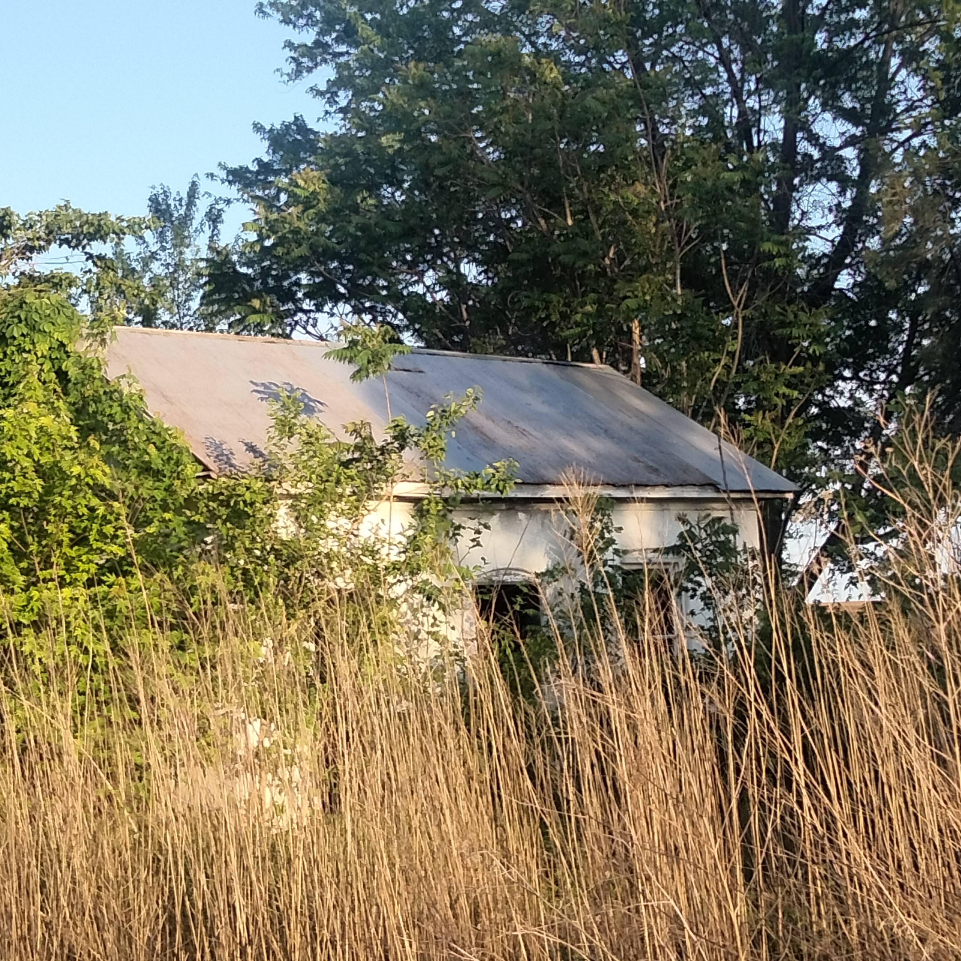 abandoned, overgrown farmhouse