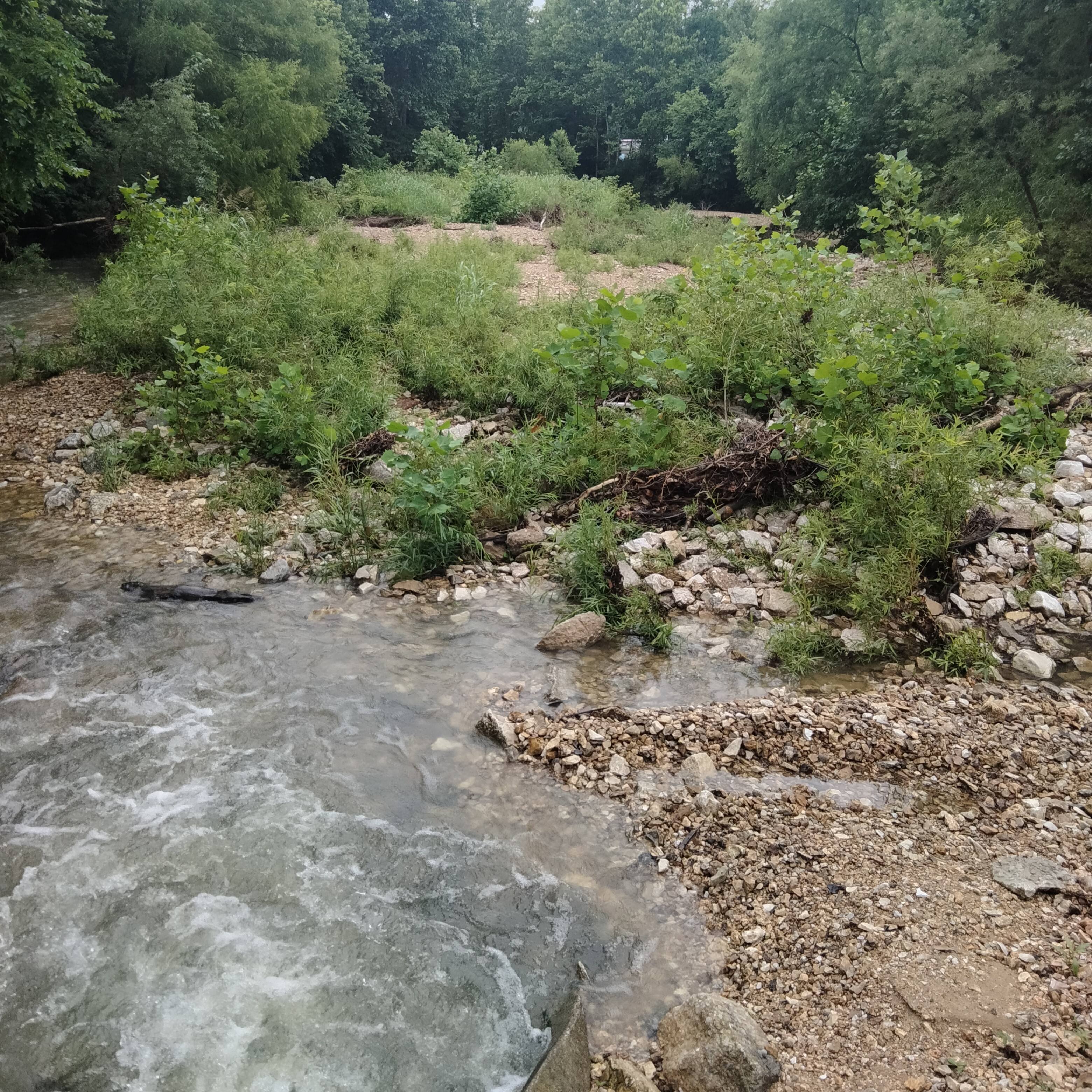 a river near my work